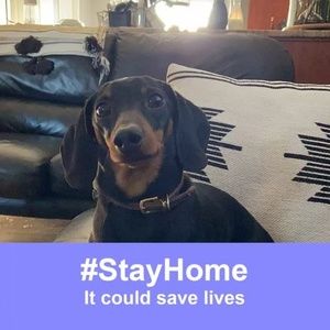 Meet your Posher, Dean